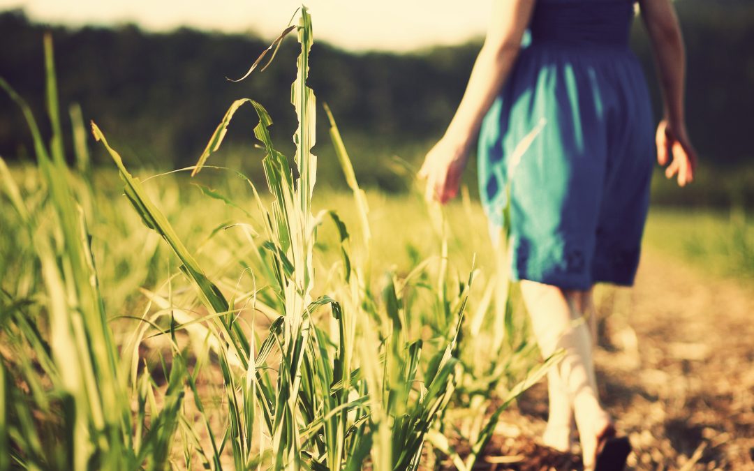 Wellness: It’s About More Than Getting Fit — It’s About Retooling